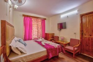 Hotel Diamond Manali