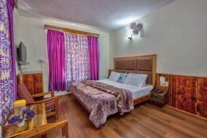 Hotel Diamond Manali