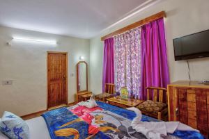 Hotel Diamond Manali